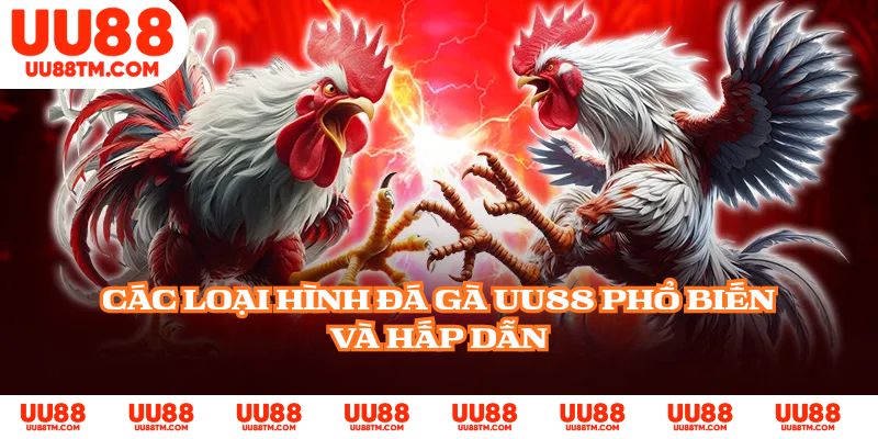 Các loại hình đá gà UU88 phổ biến và hấp dẫn