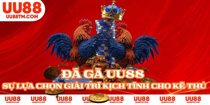 Đá Gà UU88 - Sự Lựa Chọn Giải Trí Kịch Tính Cho Kê Thủ