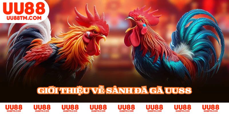 Giới thiệu về sảnh đá gà UU88