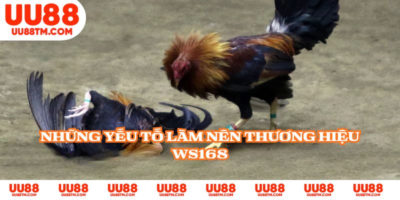 Những yếu tố làm nên thương hiệu WS168