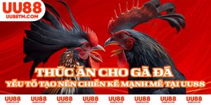 Thức Ăn Cho Gà Đá - Yếu Tố Tạo Nên Chiến Kê Mạnh Mẽ Tại UU88