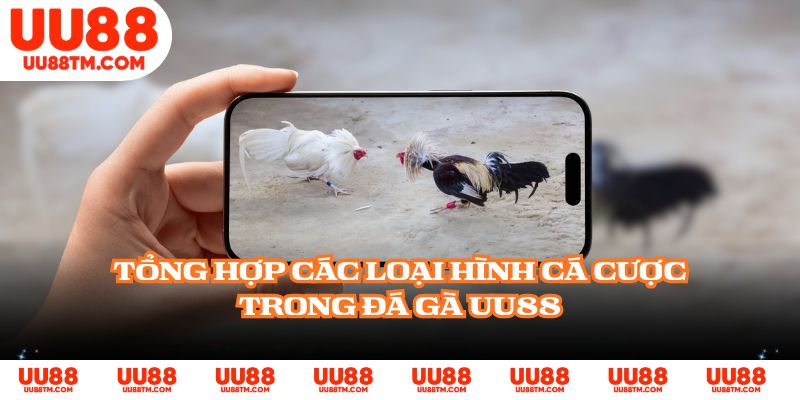 Tổng hợp các loại hình cá cược trong đá gà UU88