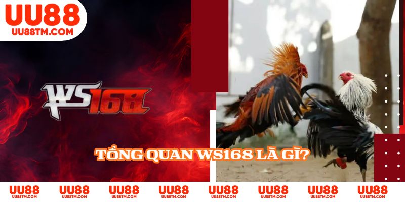 Tổng quan WS168 là gì?