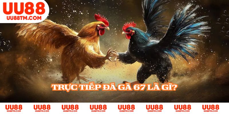 Trực tiếp đá gà 67 là gì?