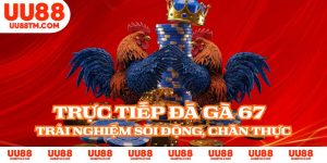 Trực Tiếp Đá Gà 67 - Trải Nghiệm Sôi Động, Chân Thực