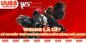 WS168 Là Gì? Lý Do Đây Trở Thành Điểm Đến Sáng Giá 2025